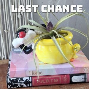 Vintage Sylvester The Cat & Tweety Bird Ceramic Planter Looney Tunes Warner Bros